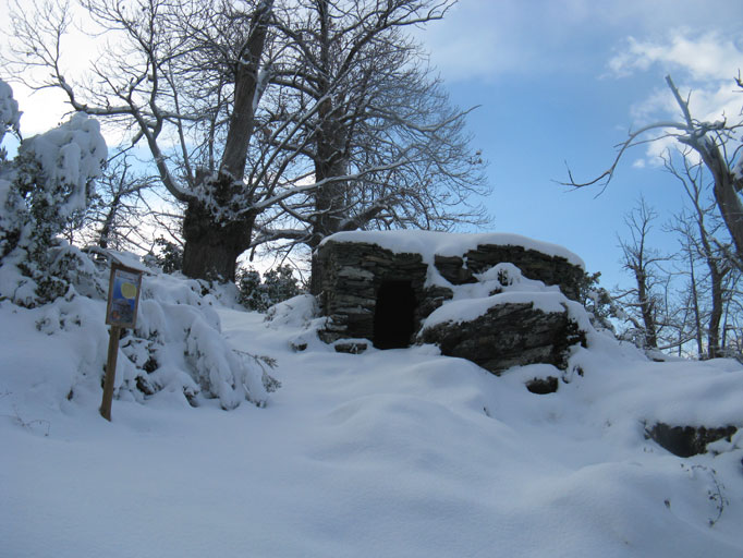 U Chjostru et la récolte des chataignes – image 5