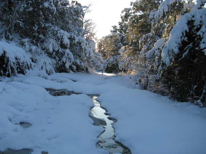 U Chjostru et la récolte des chataignes – image 6